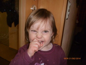 15. Pferdeweihnacht 2014 (26)